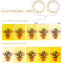 Angel Ring Plant Light Sunlight Phytolamp USB Nursery Lamp (One for Two) Newly
