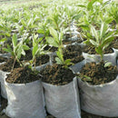 200x Biodegradable Non-woven Nursery Bags Plants Grow Seedling Planting Pots