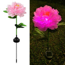 #A Solar LED Peony Flower Light Waterproof Outdoor Patio Garden Lawn Path Yard L