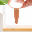 Automatic Plant Flower Self Water Tool Transparent Bird Dripper Pot (Red)