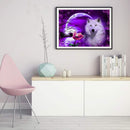 DIY Paint By Number Kit White Wolf Moonlight No Frame for Home Decoration