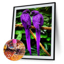 Diamond Painting Kit DIY Animal Full Square Diamond Mosaic Art