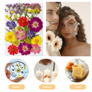 Dried Flower Material Package Real Pressed Dry Flowers & Leaves (Colour) Newly