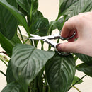 Gardening Tools Kit Plant Transplant Tool Digging Tool Basic Bonsai Tools