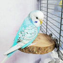 Small Parrot Bird Cage Stand Platform Perch Pet Wood Biting Stick (8-10cm)