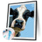 Oil Paint Cattle By Numbers Coloring Picture Digital