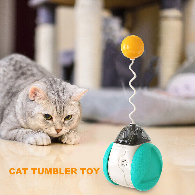 Cat Interactive Toys Swing Balance Body Colorful Sound Catnip Teaser Cat Pr