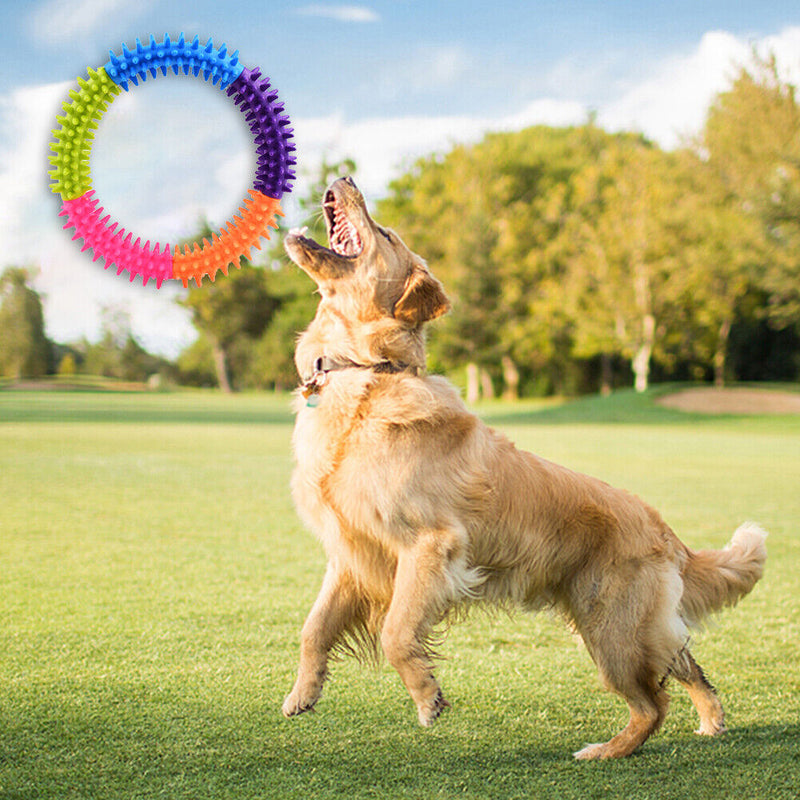 Pet TPR Training Ring Colorful Dog Cat Molar Chew Toys Teeth Cleaning Bite Game