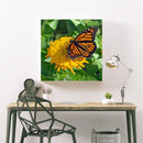 5D DIY Full Drill Diamond Painting Butterfly Embroidery Mosaic Craft Kit