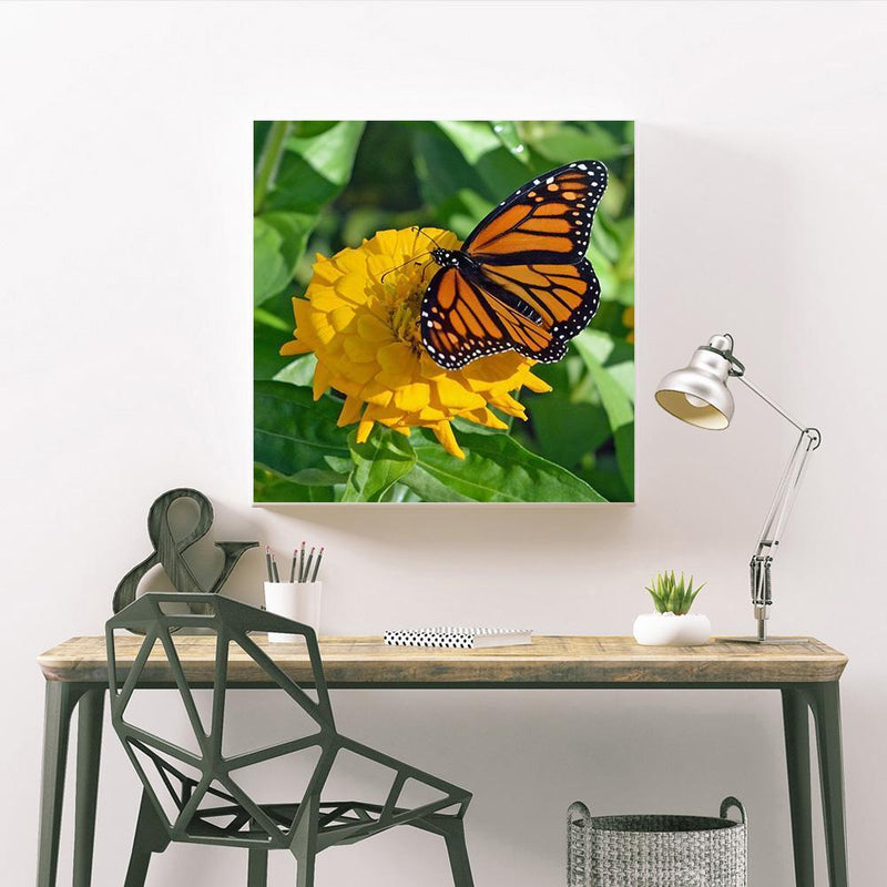 5D DIY Full Drill Diamond Painting Butterfly Embroidery Mosaic Craft Kit