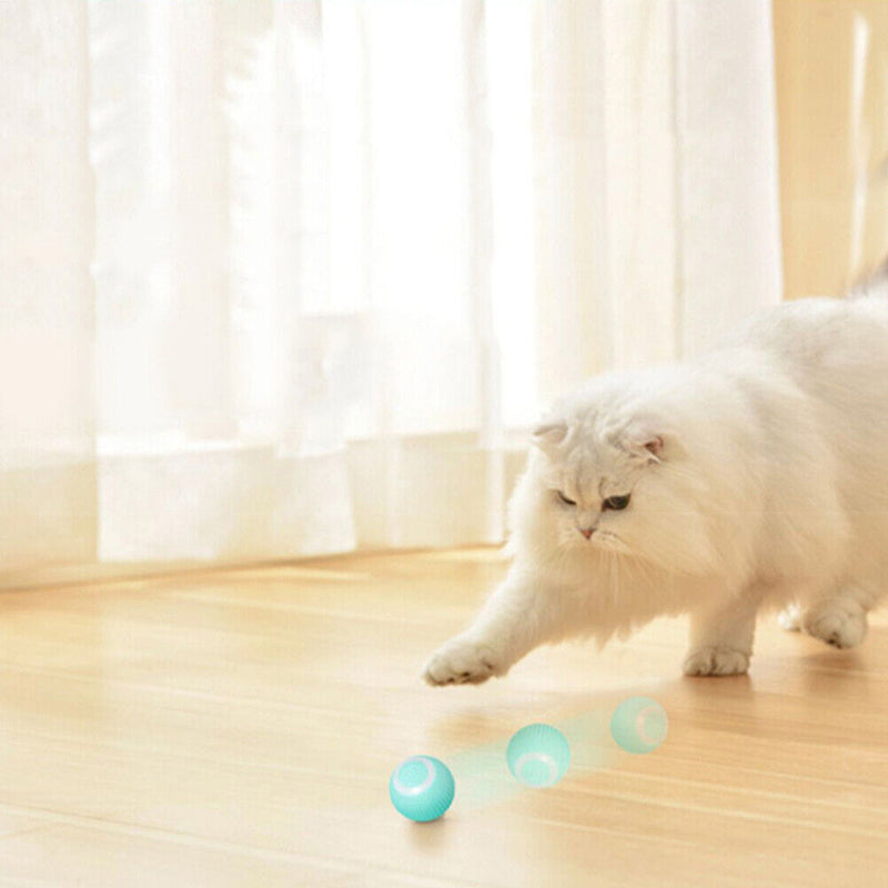Gravity Smart Cat Ball Toys Catnip Sounding Interactive Rolling Training To