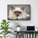 Drill Point Handicraft 5D Burmese Cat Full Drill Diamond Painting for Wall Gift