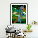 DIY Paint By Number Kit Colorful Dragonfly Acrylic Paint Art Craft Decor Gift