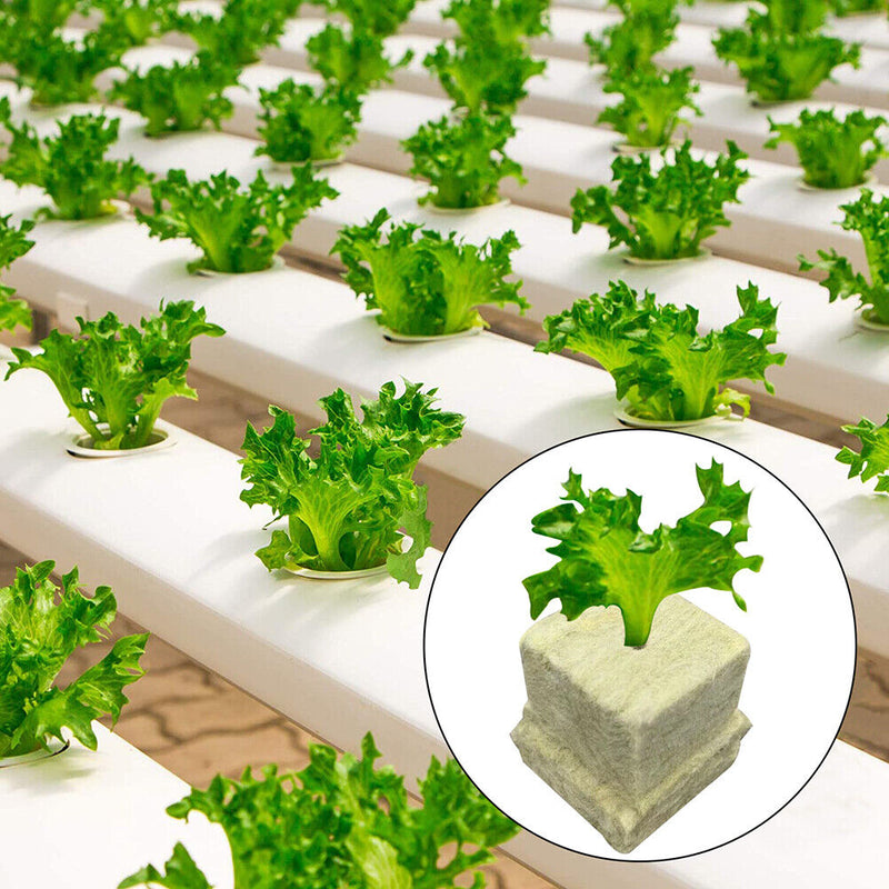 #A 50pcs Seedling Grow Plugs Starter Water Hydroponic Soilless Cultivation Tub