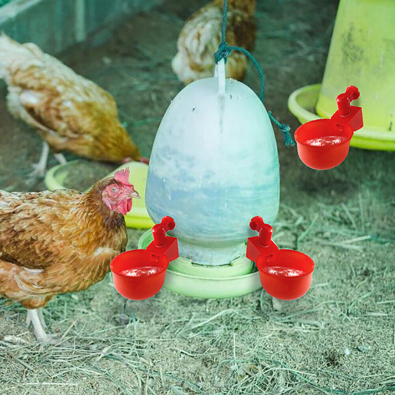 2x automatic bird barn, poultry, chicken drinks, water drinking cup, poultry