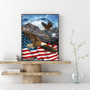 5D DIY Diamond Painting USA Flag Eagle Full Round Drill Crafts Mosaic Rhinestone
