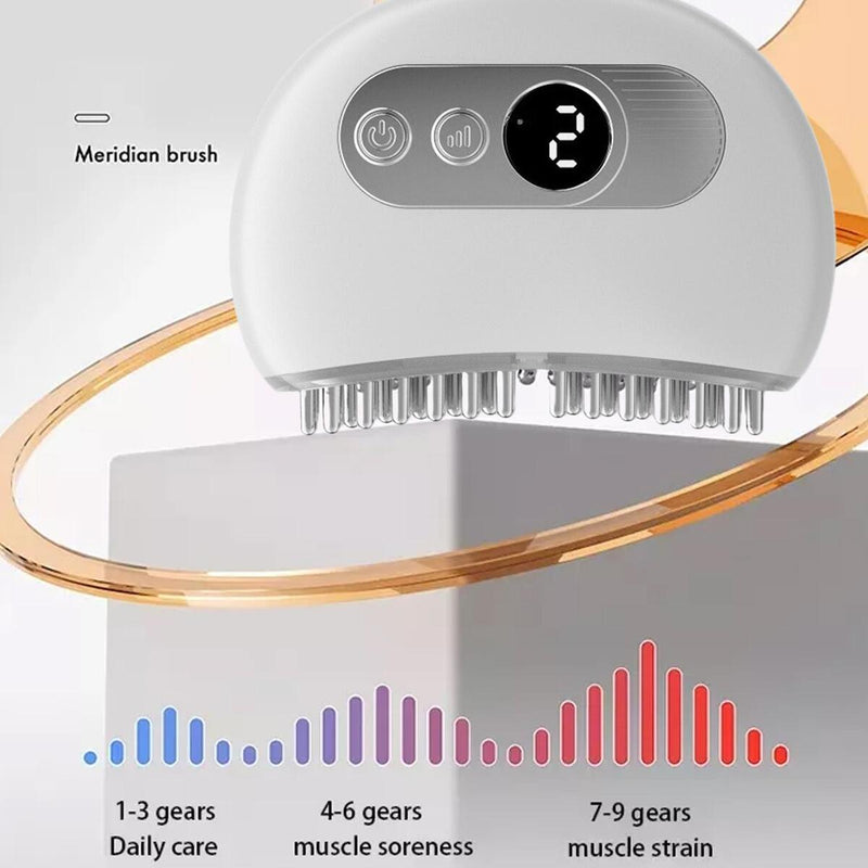 Electric Vibration Massage Brush Scalp Massage Vibrating Portable`