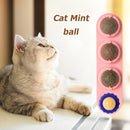 #A Funny Catnip Ball Set Cat Supplies Bite Resistance for Cats Over Six Months O