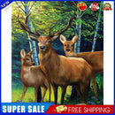#A Woods Animal Oil Paint By Numbers Kit DIY Acrylic Painting on Canvas Framel