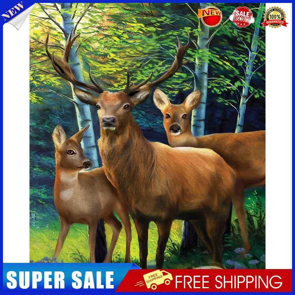 #A Woods Animal Oil Paint By Numbers Kit DIY Acrylic Painting on Canvas Framel