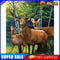 #A Woods Animal Oil Paint By Numbers Kit DIY Acrylic Painting on Canvas Framel