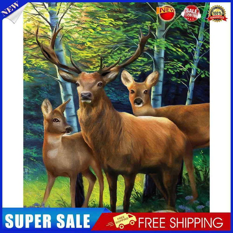 #A Woods Animal Oil Paint By Numbers Kit DIY Acrylic Painting on Canvas Framel