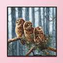 Full Cross Stitch 11CT Three Owls Printed Embroidery DIY Home Decoration Gift