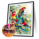 5D DIY Diamond Painting Full Round Drill Birds on Branch Wall Decor Rhinest