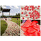 Heart Shape Wedding Room Decorations Sponge Petals Day Rose Petals P9G7