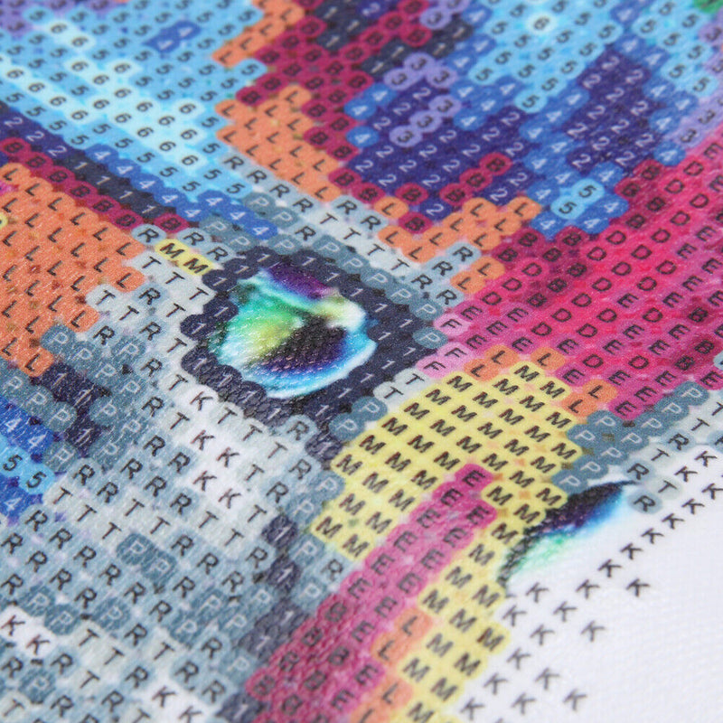 5D DIY Round Drill Diamond Painting Colorful Cat Cross Stitch Embroidery