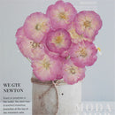 Decoration Multi-purpose DIY Real Dried Flowers Pressed Flowers Sakura Crafts