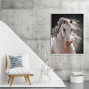 Fine Horse Oil Paint By Number DIY Acrylic Painting Home Decoration Wall Arts