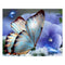 Blue Butterfly 5D Diamond DIY Painting Kit Home Decor Craft 30 X 25cm