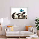 Diamond Kit Painting Round DIY Rhinestone Picture Full Drill Cat Butterfly 5D
