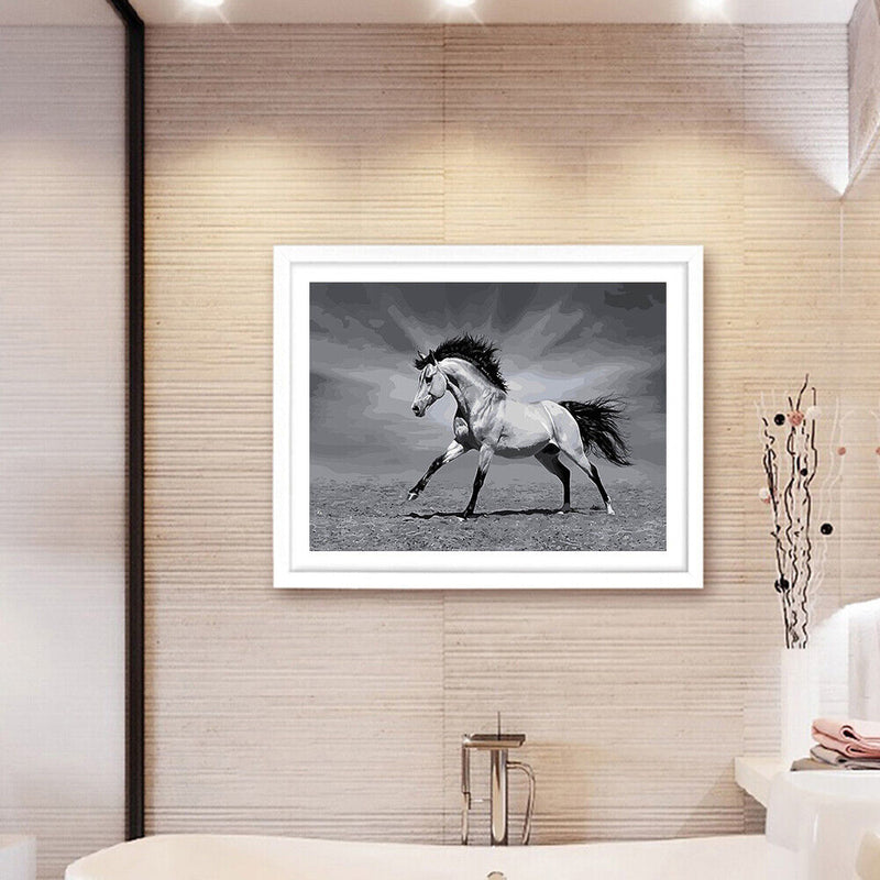 Painting By Numbers DIY Horse Hand Painted Canvas Wall Art Pictures Frameless