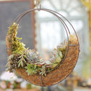 Home Decor Patios Flower Pots Moon Shape Succulent Pot Hanging Planter Holder