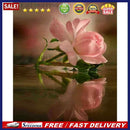 Frameless Oil Paint By Numbers Kit DIY Acrylic Flowers Drawing On Canvas Craf