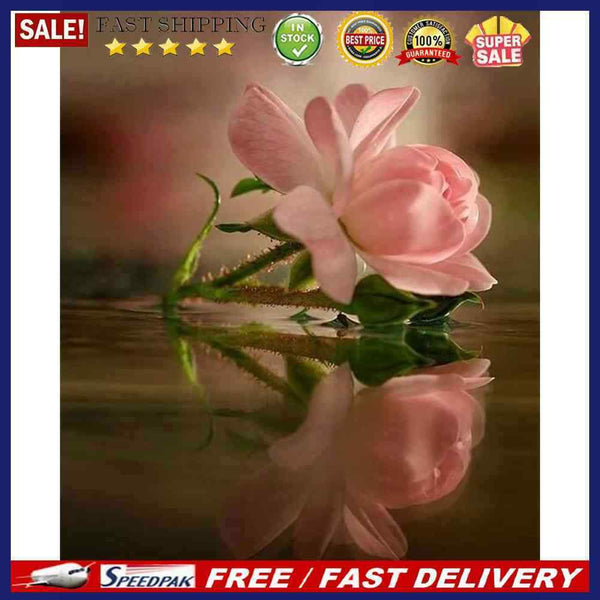 Frameless Oil Paint By Numbers Kit DIY Acrylic Flowers Drawing On Canvas Craf