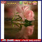 Frameless Oil Paint By Numbers Kit DIY Acrylic Flowers Drawing On Canvas Craf