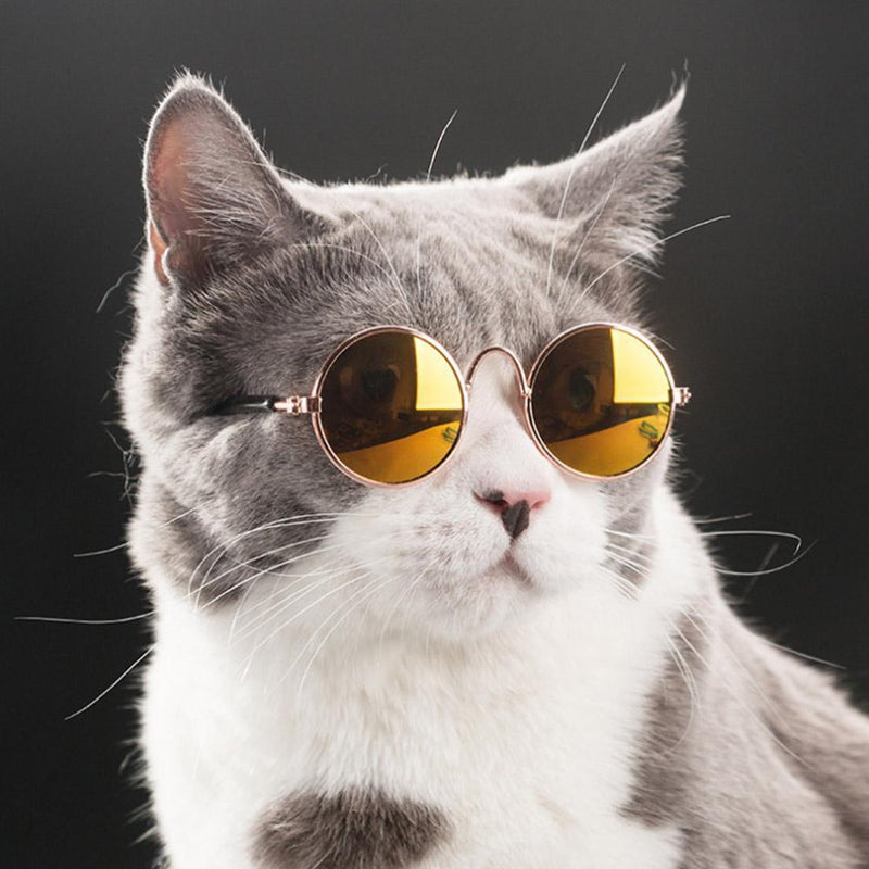 Fashion Pet Glasses for Small Dogs Puppy Cat Sunglasses Photos Props Decor Newly