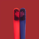 Pack Oral Hygiene Toothbrush Gum Care Oral Cleaning Soft Bristle Toothbrush