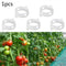 Plant Vine Fixing Clamp Hanging Seedling Clamp Gardening D8R1 U1C0 Fixing K5F4