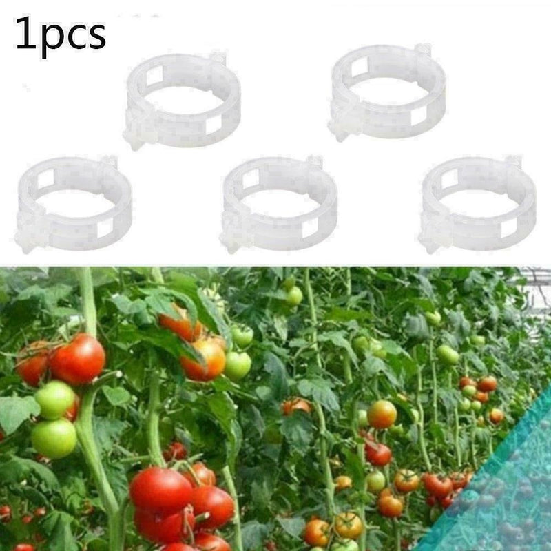 Plant Vine Fixing Clamp Hanging Seedling Clamp Gardening D8R1 U1C0 Fixing K5F4