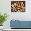 Leopard Oil Paint By Numbers Kits Canvas DIY Craft Coloring Drawing Home Decor