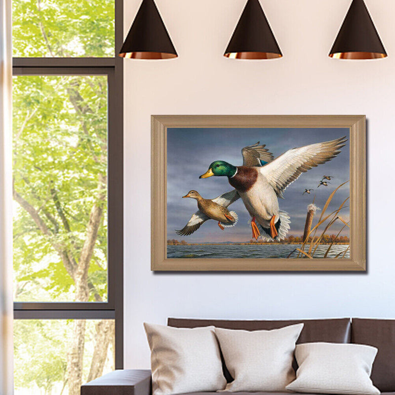 Wild Duck on Lake Oil Paint By Numbers Kit DIY Acrylic Painting on Canvas D