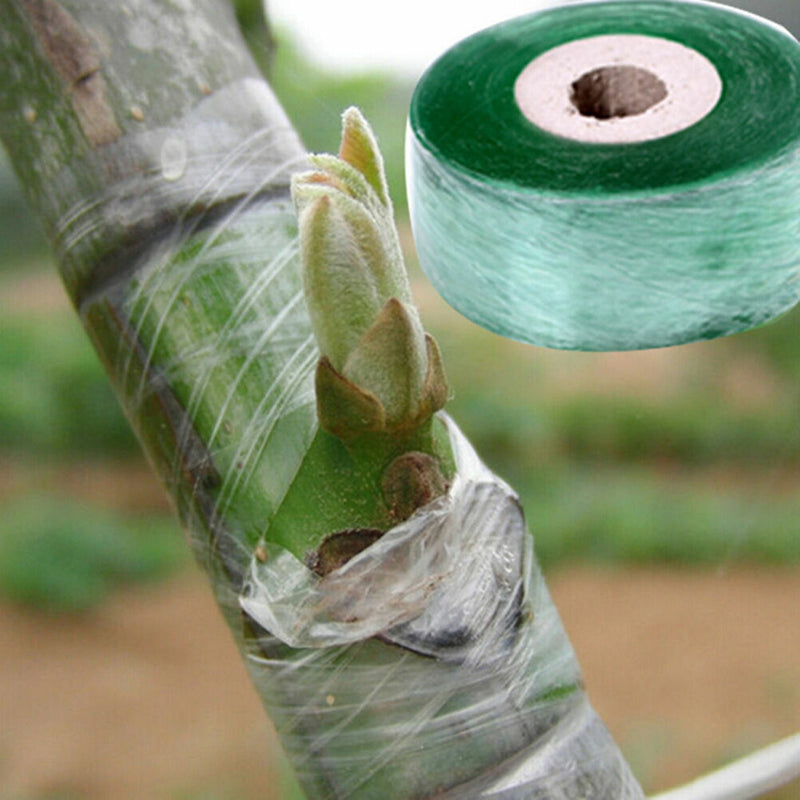Grafting Tape Stretchable Self-adhesive For Garden Tree 2cm*100m.T1 I2T2