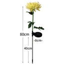 Solar Power Chrysanthemum Ground Light Flower Outdoor Garden Decor (Yellow)
