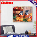 Black Cat and Pumpkin Oil Paint By Number Kit Frameless Drawing Picture