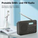 Multifunctional Digital Radio Wireless Reception Fm Radio Output with Antenna