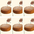 Pizza Dough Cutter Stainless Steel Trimmer Leveler 2 Wire Cake Slicer